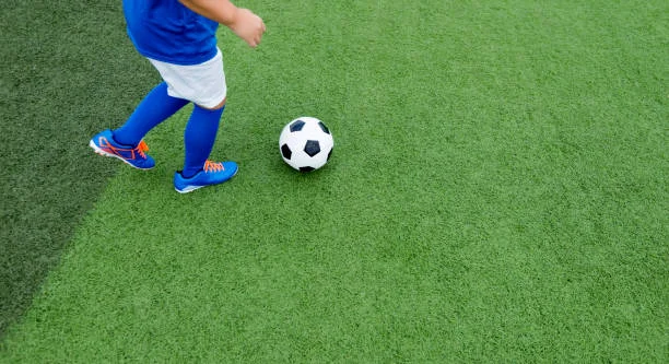 Commercial lawn installation